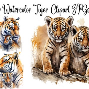 10 Watercolor Tiger, Mom and baby tiger, tiger cubs, Tiger clipart,JPGs, Commercial use, Digital Download,Printable art, Watercolor Clipart