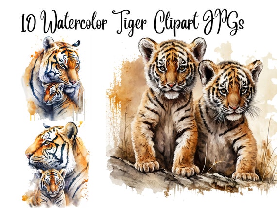 10 Watercolor Tiger, Mom And Baby Tiger, Tiger Cubs, Tiger Clipart.