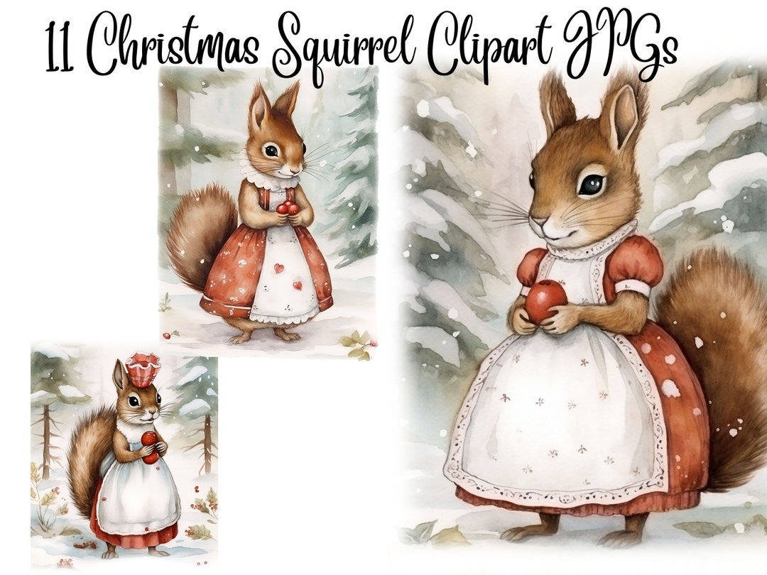11 Christmas Squirrel Clipart Jpgs, High Quality, Digital Planner ...