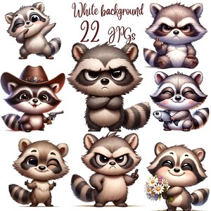 22 JPG, Raccoon Clipart Bundle, Raccoon Clipart, Funny Grumpy Animals ...