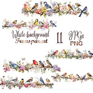 11 PNG/JPG, Watercolor Flower Border Clipart bundle, Bird Border Clipart, Colorful Elegant border, Commercial Use