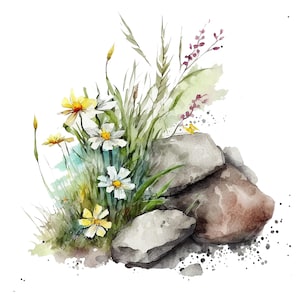 10 Wildflowers and Stones Clipart, Floral Clipart, JPGs, Commercial use, Digital Download,Watercolor Clipart, Clip Art,Digital Craft