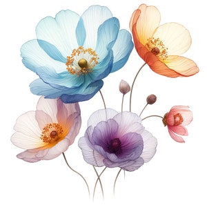 K&ouml;nnte beinhalten: Ein Strau&szlig; aus f&uuml;nf zarten Bl&uuml;ten mit durchscheinenden Bl&uuml;tenbl&auml;ttern in Blaut&ouml;nen, Lila, Rosa und Orange. Die Bl&uuml;ten sind in einer Traube angeordnet, wobei ihre Stiele nach unten verlaufen.