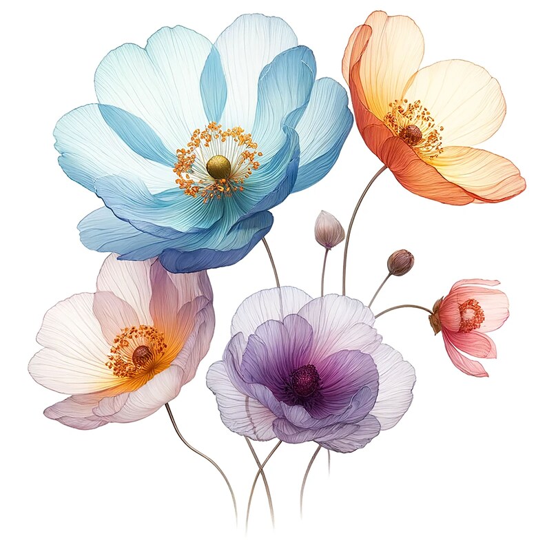 K&ouml;nnte beinhalten: Ein Strau&szlig; aus f&uuml;nf zarten Bl&uuml;ten mit durchscheinenden Bl&uuml;tenbl&auml;ttern in Blaut&ouml;nen, Lila, Rosa und Orange. Die Bl&uuml;ten sind in einer Traube angeordnet, wobei ihre Stiele nach unten verlaufen.