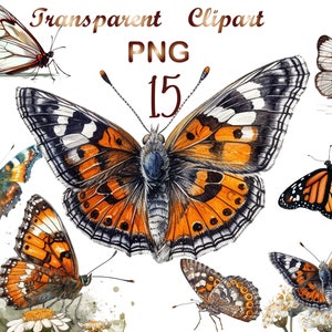 Monarch Butterfly png, Monarch Butterfly Clipart, Butterfly Clipart, Monarch Butterfly Sublimation, Commercial USe, Digital Download