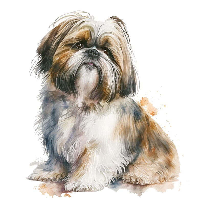 Watercolor Shih Tzu Clipart – High Quality Jpgs (digital Download ...