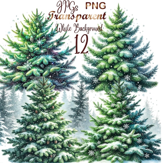 12 PNG & JPG Christmas Tree clipart, merry christmas png, winter design, christmas clipart, xmas tree png, Digital Download, Commercial use
