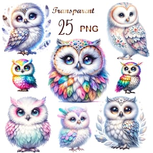 25 PNGs set 5 Owl Clipart bundle, Cute Owl Sublimation Clipart, Colorful Owls, Owl artwork, Owl printable, Digital Download, Card Making