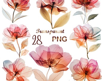 28 PNGs, Abstract Flowers Clipart bundle, Dried Flowers, Printable Watercolor clipart, Digital download, Paper craft, junk journals