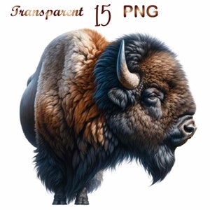 Puede incluir: Un bisonte marrón y negro con una larga barba oscura. El bisonte está mirando hacia la derecha y tiene un cuerno grande y oscuro en el lado derecho de su cabeza.