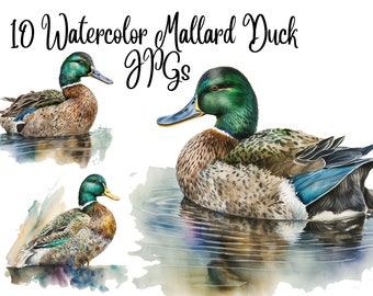 10 Mallard Duck Clipart, Duck Clipart, JPGs, Commercial USe, Digital Download,Watercolor Clipart, Card Making, Clip Art, Digital Paper Craft