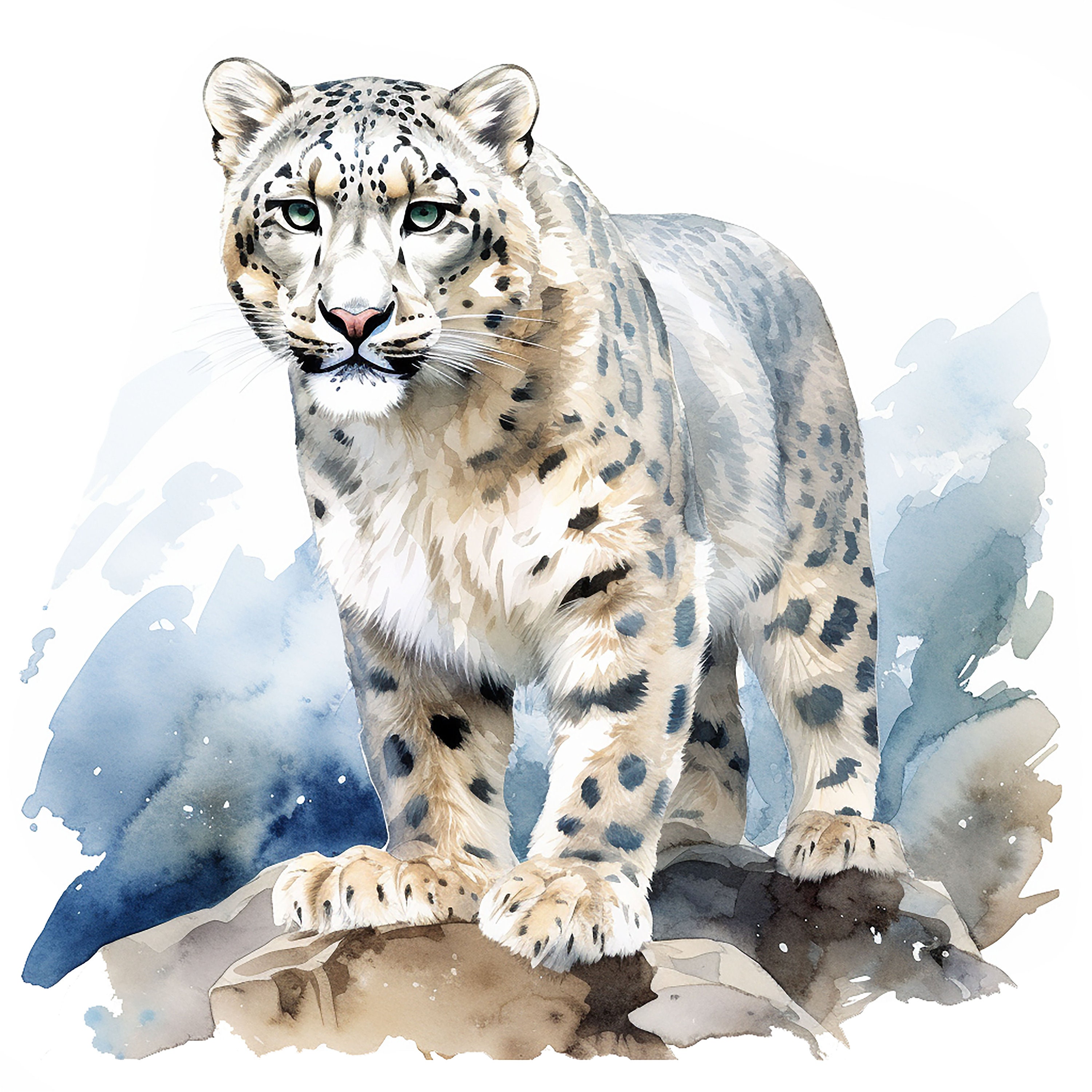 20 Winter Snow Leopard Clipart Jpgs, Printable Watercolor Clipart ...