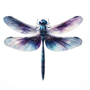 May include: A watercolor painting of a dragonfly with iridescent blue and purple wings. The dragonfly is in flight with its wings spread out.
