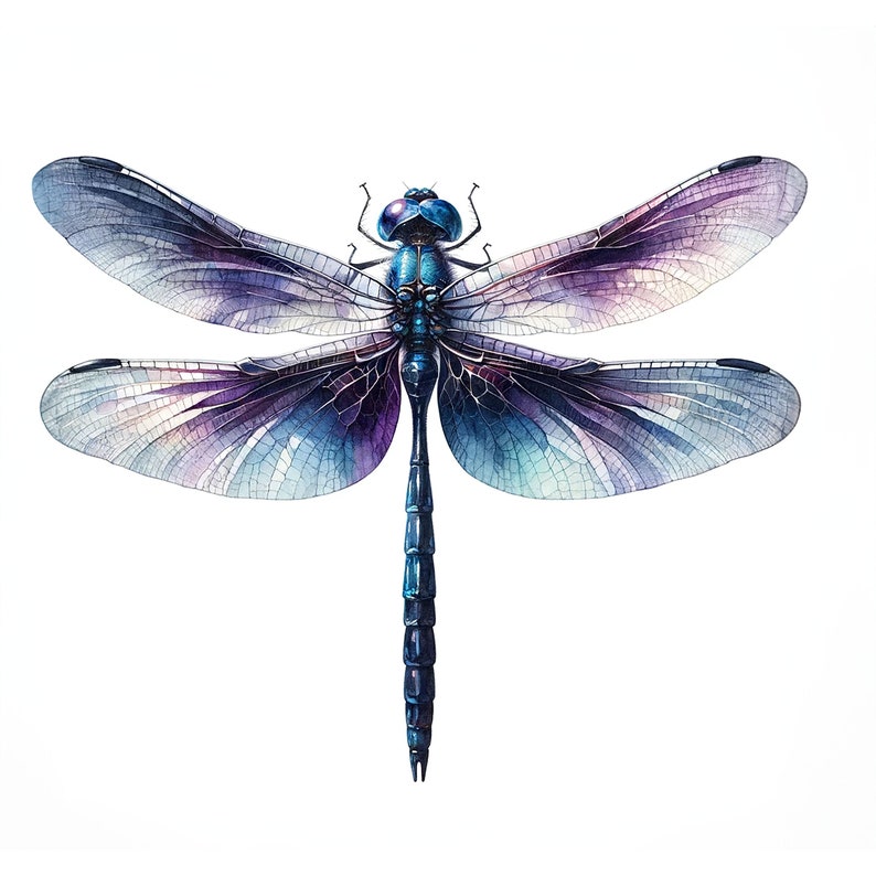 May include: A watercolor painting of a dragonfly with iridescent blue and purple wings. The dragonfly is in flight with its wings spread out.