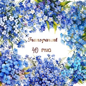 Puede incluir: Una ilustración de acuarela de flores azules de nomeolvides dispuestas en un patrón circular. Las flores están rodeadas de hojas y tallos verdes. El texto "Transparent 40 PNG" está escrito en texto marrón en el centro de la imagen.