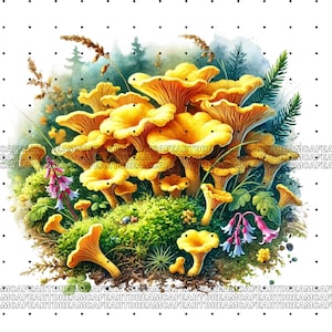May include: A cluster of bright yellow chanterelle mushrooms growing in a lush green forest setting. The mushrooms are surrounded by green moss, ferns, and wildflowers.