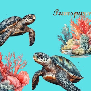 Puede incluir: Dos ilustraciones de acuarela de tortugas marinas nadando en un fondo azul turquesa. Las tortugas tienen caparazones marrones con marcas negras. El fondo incluye arrecifes de coral en tonos de rojo, naranja y amarillo.