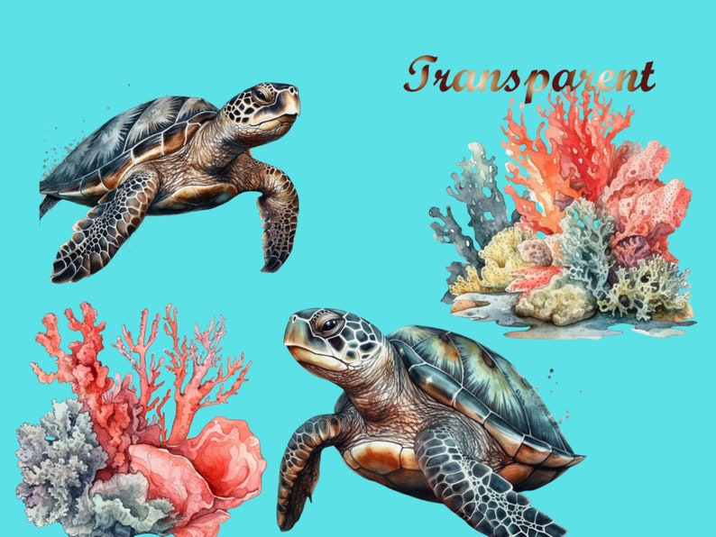 Puede incluir: Dos ilustraciones de acuarela de tortugas marinas nadando en un fondo azul turquesa. Las tortugas tienen caparazones marrones con marcas negras. El fondo incluye arrecifes de coral en tonos de rojo, naranja y amarillo.