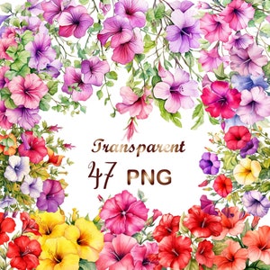 47 Petunia clipart PNG, Petunia watercolor PNG, Floral bundle, Floral Petunia, Commercial Use,Digital Download