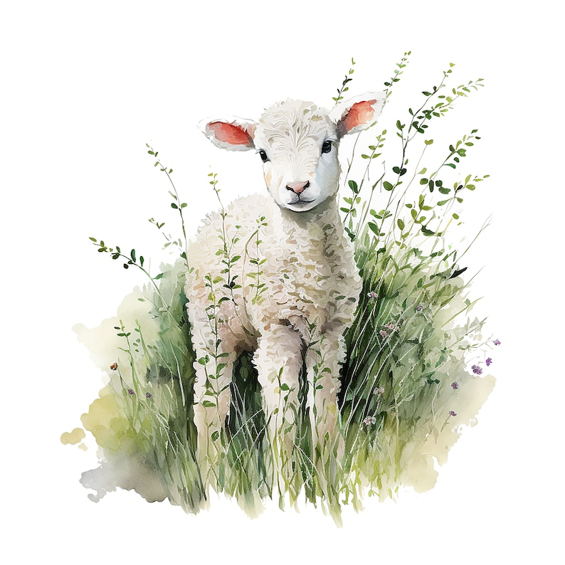 May include: Watercolor illustration of a fluffy white lamb standing in a patch of green grass and foliage. The lamb has pink ears and a gentle expression, with the artwork rendered in soft, pastel colors. The overall theme is pastoral and evokes a sense of spring.