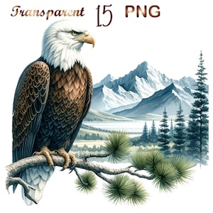 15 Regal Eagle Clipart, Watercolor bird clipart png, Watercolor Eagle Clipart, Eagle Clipart, Commercial use, Digital Download,Printable art