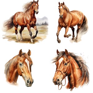 May include: Four watercolor paintings of brown horses. The first horse is running, the second horse is running, the third horse is looking to the right, and the fourth horse is looking to the left.
