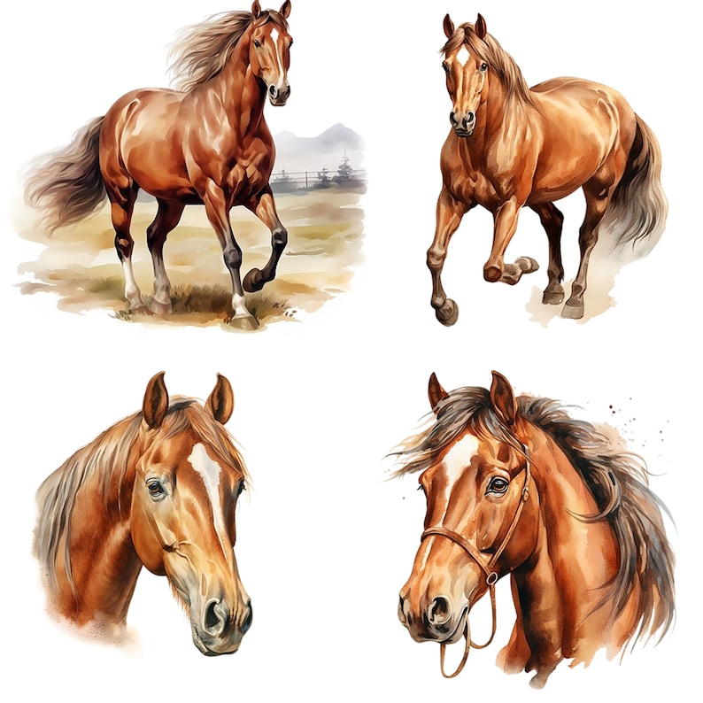 May include: Four watercolor paintings of brown horses. The first horse is running, the second horse is running, the third horse is looking to the right, and the fourth horse is looking to the left.