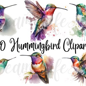 May include: Watercolor illustrations of hummingbirds in various poses and colors, including purple, green, red, and orange. The image includes the text "10 Hummingbird Clipart". The birds are depicted with artistic watercolor effects.