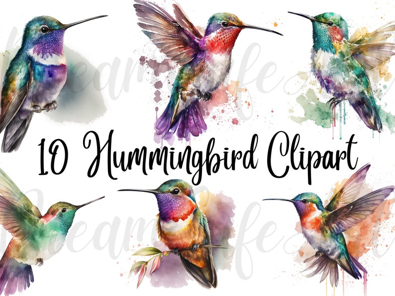 May include: Watercolor illustrations of hummingbirds in various poses and colors, including purple, green, red, and orange. The image includes the text "10 Hummingbird Clipart". The birds are depicted with artistic watercolor effects.