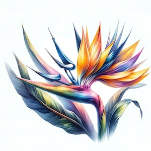 Peut inclure: Une peinture &agrave; l'aquarelle vibrante d'une fleur d'oiseau de paradis avec des p&eacute;tales bleus, orange et jaunes. La fleur est repr&eacute;sent&eacute;e avec des d&eacute;tails complexes et un style r&eacute;aliste.
