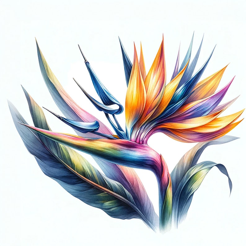 Peut inclure: Une peinture &agrave; l'aquarelle vibrante d'une fleur d'oiseau de paradis avec des p&eacute;tales bleus, orange et jaunes. La fleur est repr&eacute;sent&eacute;e avec des d&eacute;tails complexes et un style r&eacute;aliste.