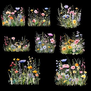 20 Wildblumen Wiese Clipart PNG, Sommer Blumen Natur Bilder, Wildblumen für Druck, Collage, Scrapbook, Junk Journal usw. Freie kommerzielle Nutzung Bild 2