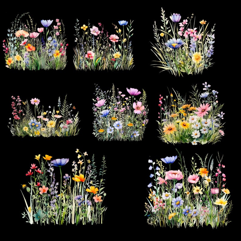 20 Wildblumen Wiese Clipart PNG, Sommer Blumen Natur Bilder, Wildblumen für Druck, Collage, Scrapbook, Junk Journal usw. Freie kommerzielle Nutzung Bild 2