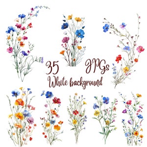 35 jpg's, clipart wilde bloemen, jpg's van hoge kwaliteit, wilde bloemen om af te drukken, digitale download, kaarten maken, mixed media, digitale papierkunst