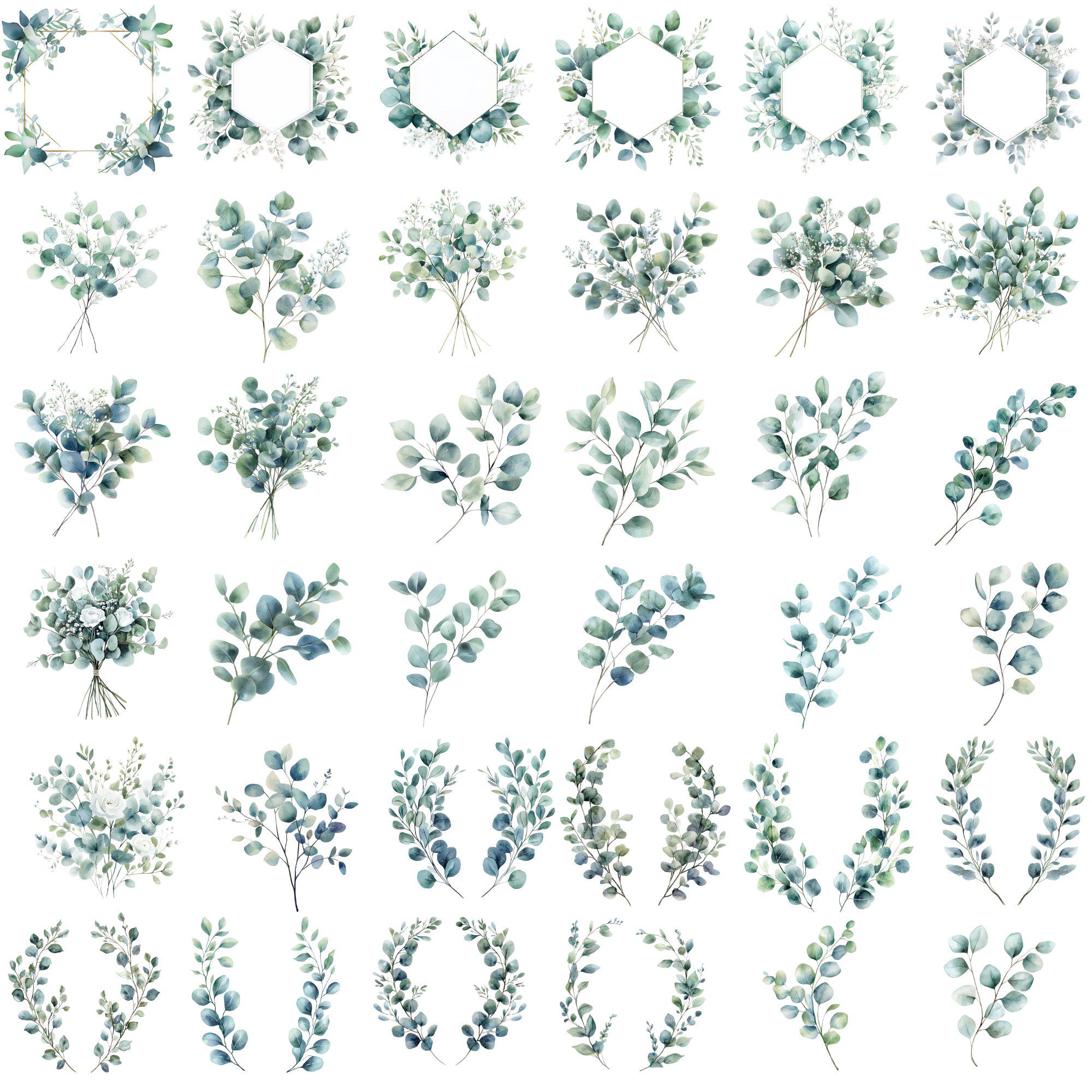 320 Watercolor Eucalyptus Clipart: Greenery PNG Bundle (digital ...