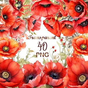 40 amapolas de California en acuarela (clipart PNG), corona floral, flores y ramos de amapolas de California, descarga instantánea para uso comercial