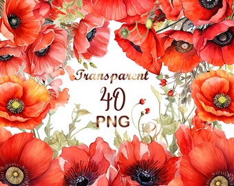 40 Watercolor California poppy сlipart PNG, Floral wreath, floral California poppy flowers and bouquets, instant download for commercial use