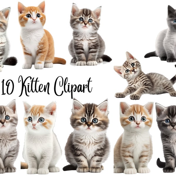 10 Kitten Clipart, JPGs, Commercial use, Digital Download, Paper crafts, Junk Journals, Watercolor clipart, cute kitten clipart