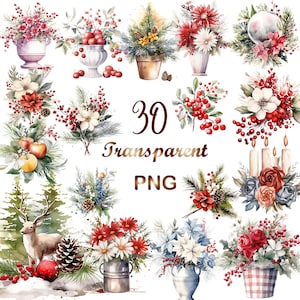 30 PNG, Christmas clipart png, Christmas  Bouquet png, Watercolor Christmas Flowers png, Digital Paper Craft, Sublimation, Commercial USe