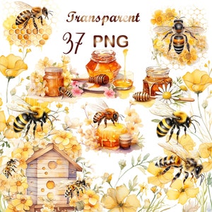 37 Honey  bee png, bee clipart, Watercolor Bee Clipart png, Sublimation design,honey bee png,bee sublimation,Commercial Use,Digital Download