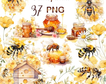 Op de afbeelding: Waterverfillustraties van bijen, honing en bloemen. De afbeelding bevat potten honing, honingraten en een houten bijenkorf. De tekst "Transparent 37 PNG" staat bovenaan. Het kleurenpalet is voornamelijk geel, bruin en wit.