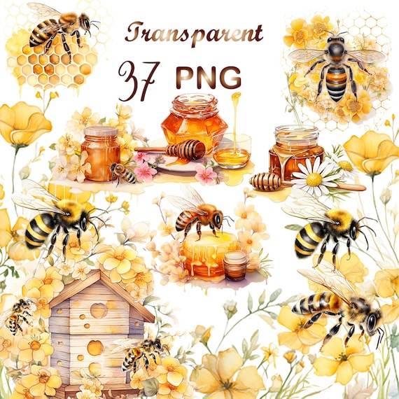 37 Honey  bee png, bee clipart, Watercolor Bee Clipart png, Sublimation design,honey bee png,bee sublimation,Commercial Use,Digital Download