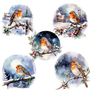 25 Christmas Robin Clipart PNG, Winter Robin PNG, Bird Robin PNG. Red ...