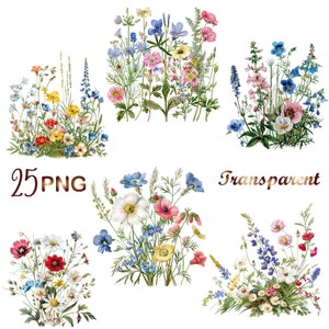 25 PNG,Wildflower meadow clipart,Summer floral nature images,Wild flowers for print,collage, scrapbook, junk journal etc Free commercial use