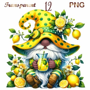 Paquete de 12 imágenes prediseñadas de gnomos de verano, gnomo lindo, gnomo negro, gnomo de helado, paquete de gnomos, imágenes prediseñadas de gnomos, gnomo de verano