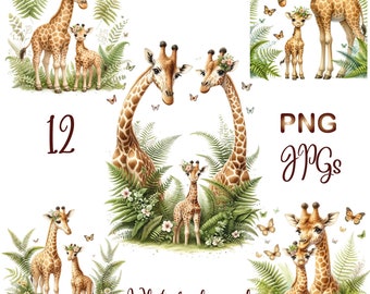 Baby Giraffe Watercolor Clipart: Nursery Decor Prints (PNG/JPG)