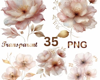 35 PNGs Abstract Flowers Clipart Bundle, Dried Flowers, Printable Watercolor Clipart, Digital Download, Paper Craft, Junk Journals