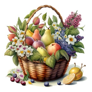 12 Fruit Basket Clipart, Harvest Clipart, Jpgs, Commercial Use, Digital ...