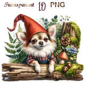 10 Chihuahua gnome PNG, chihuahua card design, chihuahua PNG, chihuahua clipart bundle,chihuahua dog png,Commercial,Digital Download Active