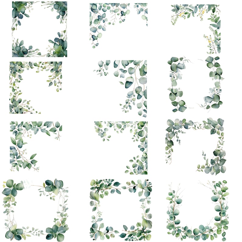 May include: Watercolor illustrations of eucalyptus leaves and branches arranged in various frame and corner designs. The leaves are shades of green, with some designs featuring small yellow flowers. The arrangements are on a white background.
